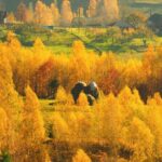 Small-Group Day Trip in Romanian Authentic Mountain Villages from Brasov - The Value of the Experience