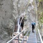 Small-Group Day Trip to the Epic 7 Ladders Canyon from Brasov - Final Thoughts