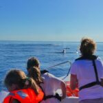 Small Group Dolphin and Wildlife Watching Tour in Faro - The Wildlife: What You Might Encounter