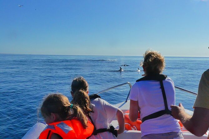 Small Group Dolphin and Wildlife Watching Tour in Faro - The Wildlife: What You Might Encounter