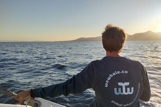 Small Group Dolphin Sunset Tour on Electric Catamaran Lanzarote - The Reviews Speak Volumes