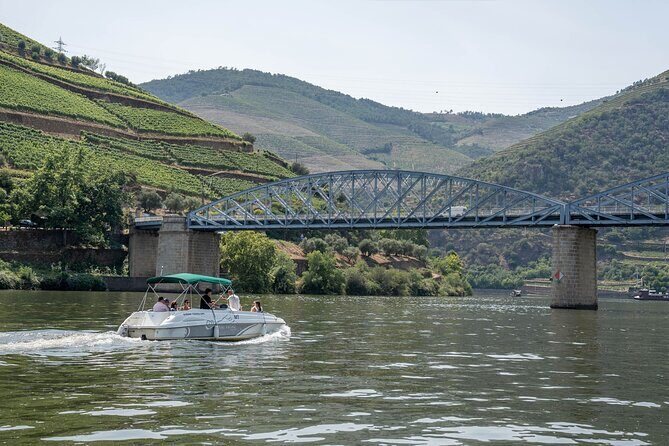 Small Group Douro Valley Wine Tour with Lunch and Cruise - The Sum Up: Who Is This Tour Best For?