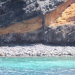 Small Group Excursion Whales and Dolphin Watching Los Gigantes - FAQ