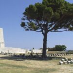 Small-Group Full Day Gallipoli & ANZAC Battlefields from Istanbul - Who Should Consider This Tour?