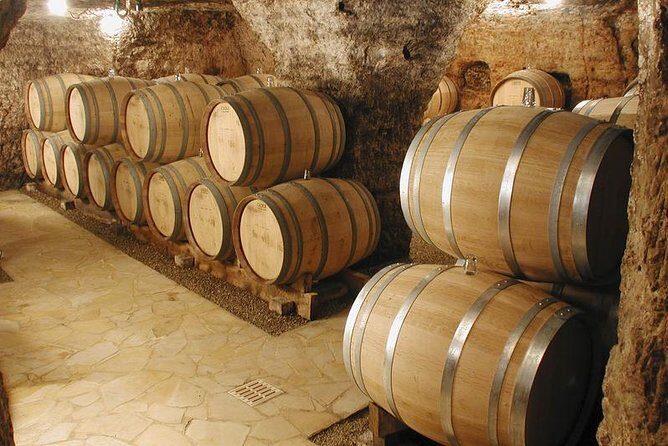 Small-Group Full-Day Private Wine Tour from Avignon - Exploring the Itinerary in Detail