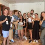 Small Group Guided E-bike Tour in Nice's Organic Vineyard - The Experience in Detail