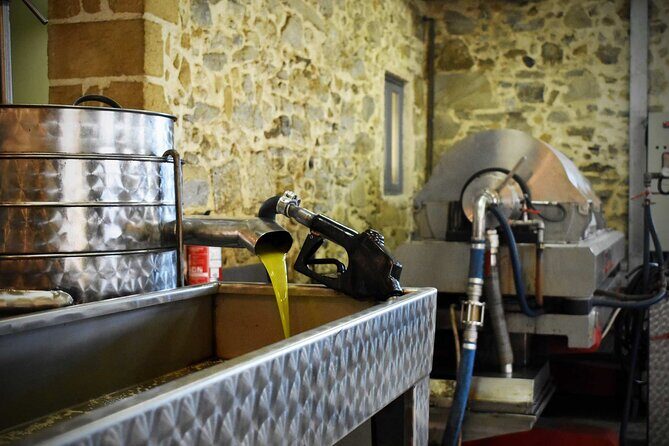 Small-Group Honey & Extra Virgin Olive Oil Tasting Tour in Crete - Final thoughts