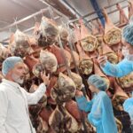 Small-Group Prosciutto Factory 4-Hour Tasting Tour in Bologna - Who Will Love This Tour?