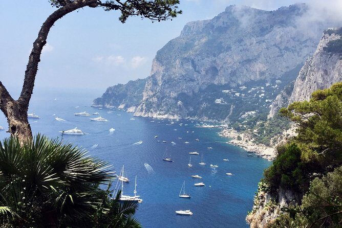 Small Group Stress Free Tour : Capri Island and Blue Grotto from Naples - Why Travelers Love This Tour