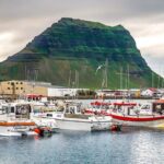 Snaefellsnes and Kirkjufell Day Tour by Minibus from Reykjavik - What Travelers Say About This Tour