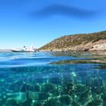 Snorkeling Boat Excursions in Nea Makri, Athens - What the Tour Entails: A Deep Dive into the Experience