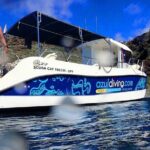 Snorkelling Trip at Ponta de São Lourenço Protected Area - Highlights and Practical Details