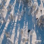 Snowmobile Safari through Lappish Forest from Rovaniemi - Frequently Asked Questions