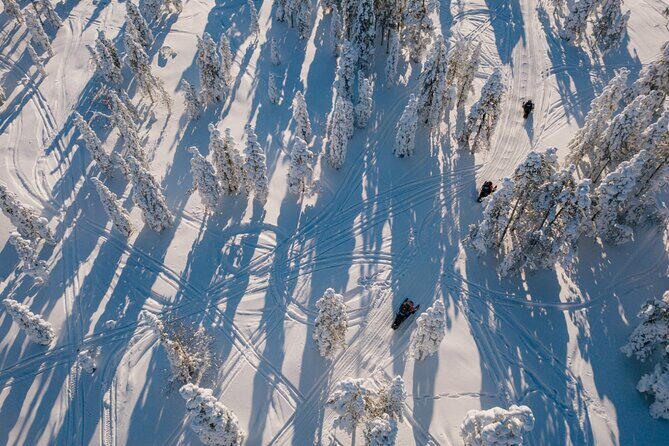 Snowmobile Safari through Lappish Forest from Rovaniemi - Frequently Asked Questions