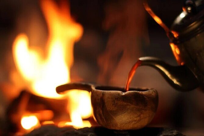 Snowy Trails 10km Husky Safari from Rovaniemi - The Real Experience: What the Reviews Say