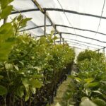 Sorrento: at the Vivaio by E-Bike with Limoncello Tasting - Why Youll Love This Tour