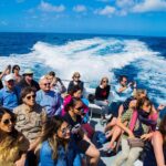 Sorrento to Capri and back: Minicruise Daily Return Ticket - The Practical Side: What’s Included and What’s Not