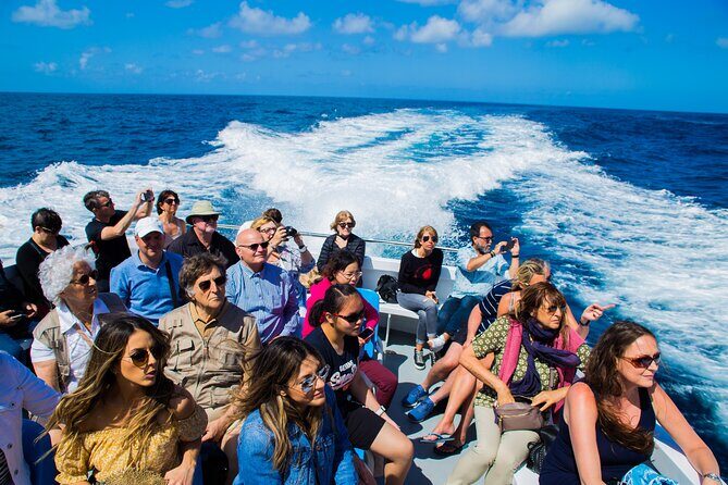 Sorrento to Capri and back: Minicruise Daily Return Ticket - The Practical Side: What’s Included and What’s Not