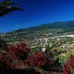 Special cruise tour Center and South La Palma (Price per car not per person) - What Our Reviewers Say