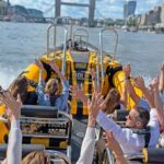Speedboat Sightseeing: Embankment or Westminster Pier -45 Minutes - What to Expect During Your 45 Minutes