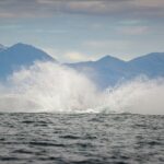 Speedboat Whale Watching Small-Group Tour in Reykjavik - What’s Included and What’s Not