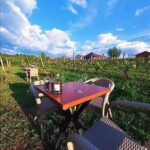 S&S Winery - Wine Tasting Experience in Ohrid - The Tour Itself in Detail