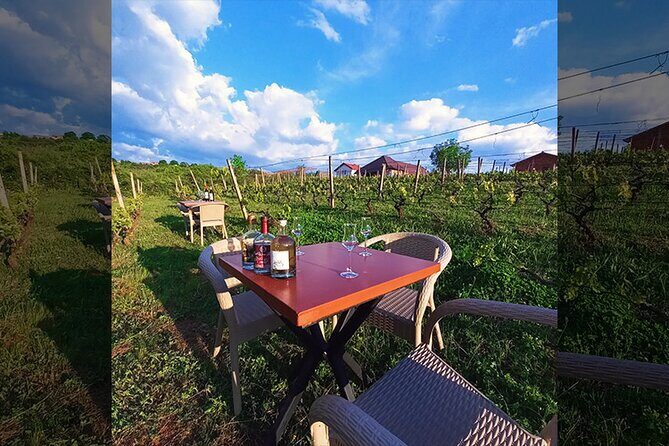 S&S Winery - Wine Tasting Experience in Ohrid - The Tour Itself in Detail