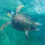 Stand-up Paddleboard Lazareta Experience Chania Crete (tour) - What is the Lazareta Paddleboarding Tour?