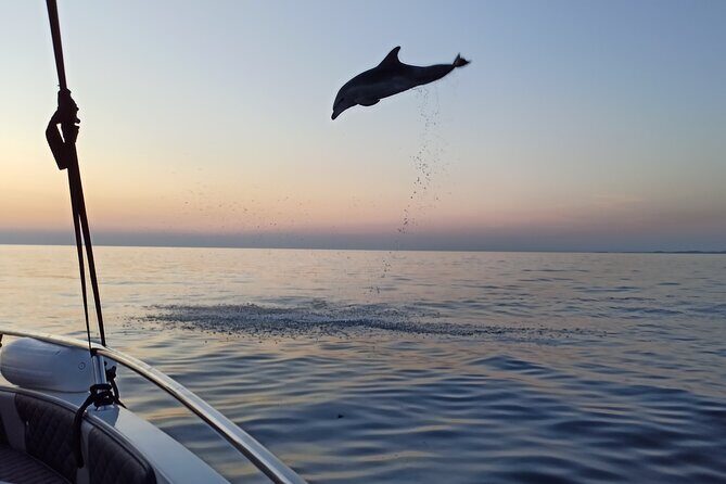 Sunrise Dolphins & Fishermen at Work speedboat tour in Rovinj - The Practical Side: Pricing, Timing, and Booking