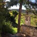 Sunset Safari - What’s the Value for Money?