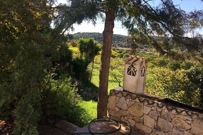 Sunset Safari - What’s the Value for Money?