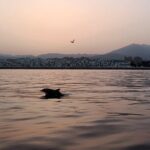 Sunset Sailing on a Private Sailboat Puerto Banús Marbella - The Highlights of the Itinerary