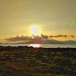 Sunset tour with regional dinner - Practical Details & What to Expect