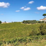 Sunset VIP Chianti wine tour - The Itinerary — What to Expect