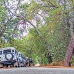 Super Day- Jeep Tour + Arade River Cruise - What Travelers Are Saying