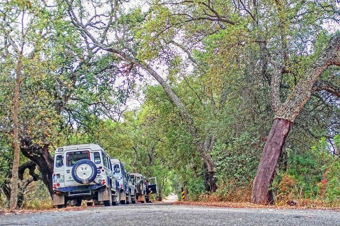 Super Day- Jeep Tour + Arade River Cruise - What Travelers Are Saying