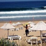 Surf Lesson with transfer - What the Reviews Say