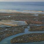 Surf & Sup - Who Is This Tour Best For?