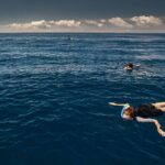 Swimming with Dolphins in Terceira Island - What to Keep in Mind
