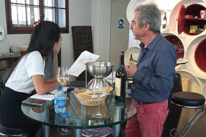 Swiss Vineyard Wine Tasting Tour in Vaud - Stop 2: Lavaux Vinorama and Vineyard Views