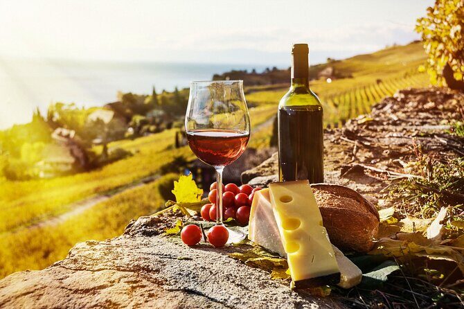 Swiss Wine Tasting at Lavaux Vineyards: Private Trip from Geneva - The Itinerary in Detail