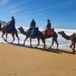 Tangier Luxury Private Day Tour From Tarifa including Camel ride - Exploring Parc Perdicaris and Cap Spartel