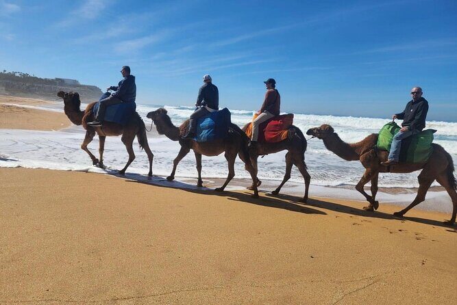 Tangier Luxury Private Day Tour From Tarifa including Camel ride - Exploring Parc Perdicaris and Cap Spartel