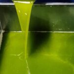 Tarragona: History & Olive Oil tasting from Barcelona - Practical Details & What to Expect