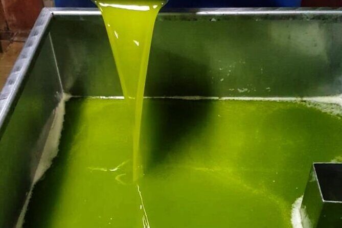 Tarragona: History & Olive Oil tasting from Barcelona - Practical Details & What to Expect