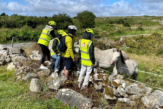 Taste of Connemara Tour by Electric Fat Tyre Bike - What Does the Experience Offer?