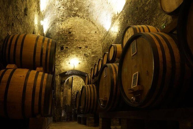 Tasting Tour in One of The Most Beautiful Cellars in the World - What to Expect on the Tour