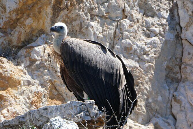 Taxi boat Kormat - FAQs