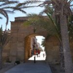 Taxi Boat Santa Pola to Tabarca Island - Transportation & Duration