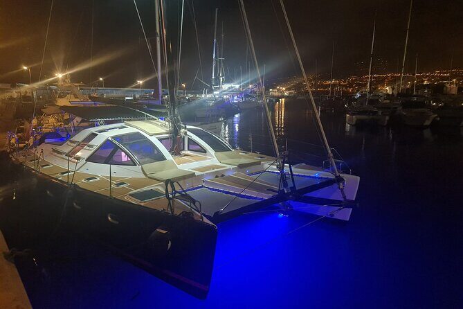 Tenerife Whales and Dolphins Watching Experience in Catamaran - Who Should Book This Tour?